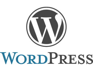 WordPress CMS Websites